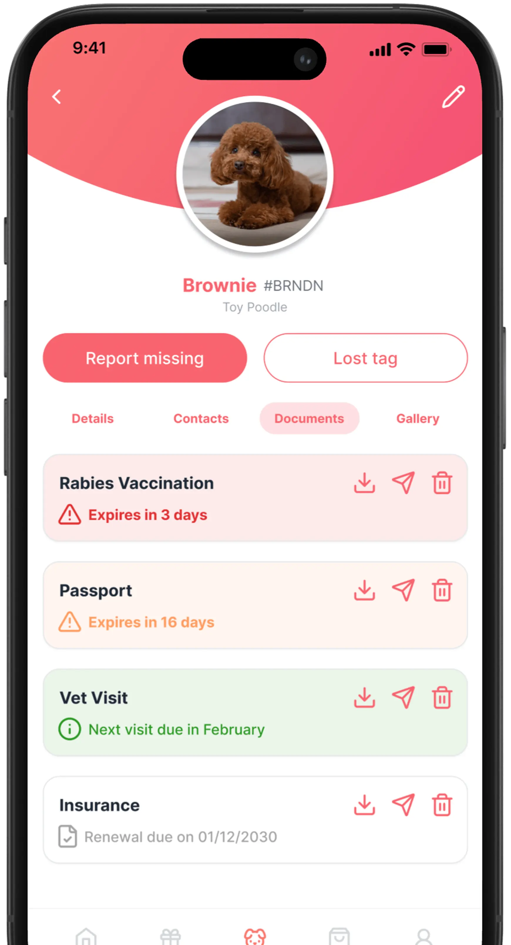 Paw ID pet profile documents tab showing uploaded records such as vaccinations, passport, vet visits, and insurance, with expiry dates and download options.