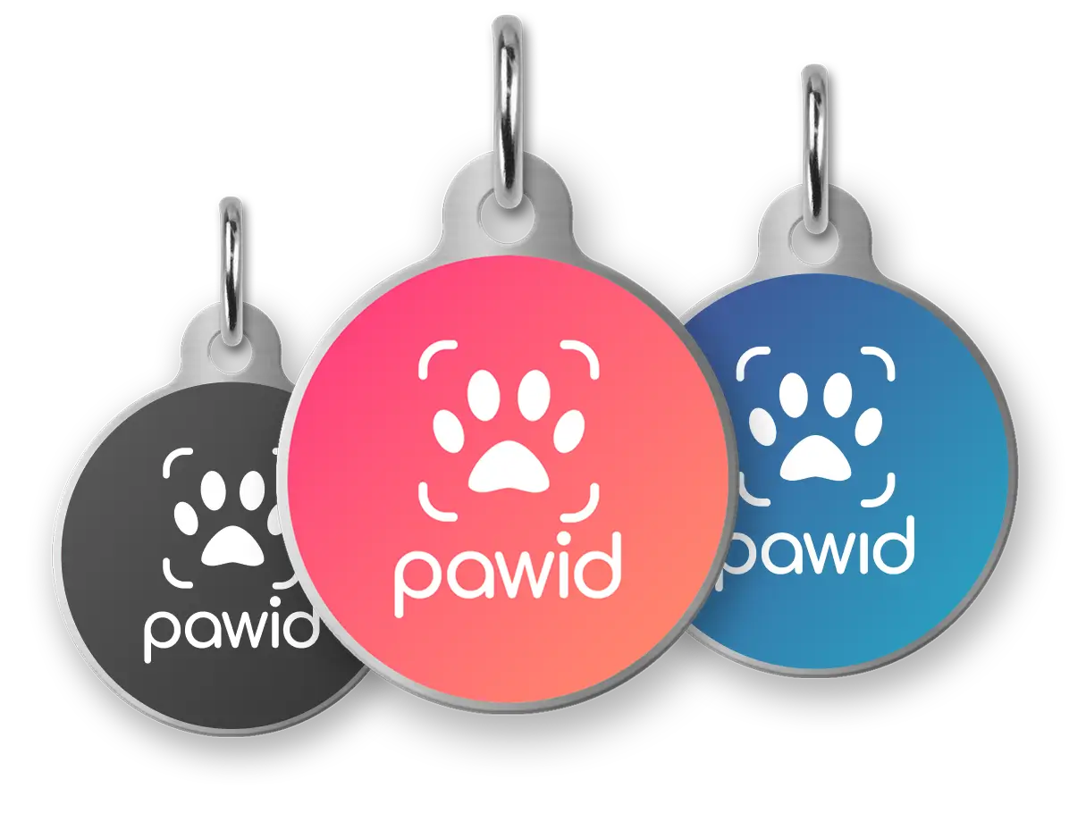 3x Paw ID Tag
